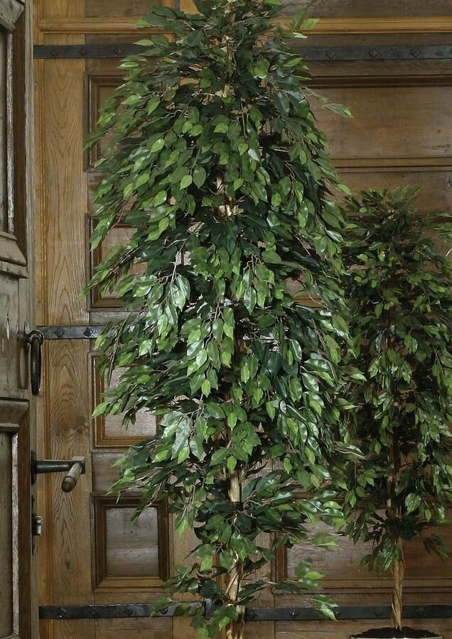 Creativ green Kunstplant Ficus Benjamini (1 stuk) - Foto 4