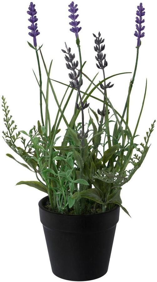 Creativ green Kunstplant Lavendel set van 3 in een plastic pot (3 stuks)