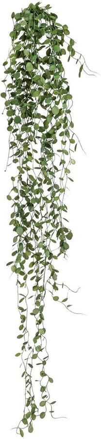 Creativ green Kunstplant Mühlenbeckia-hanger (2 stuks) - Foto 2