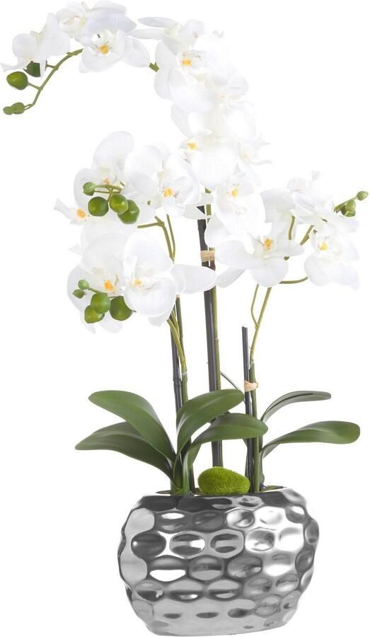 Creativ green Kunstplant Orchidee (1 stuk) - Foto 13