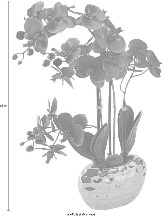 Creativ green Kunstplant Orchidee (1 stuk) - Foto 8