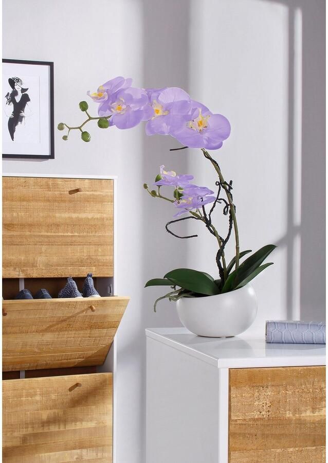 Creativ green Kunstplant Orchidee (1 stuk) - Foto 4