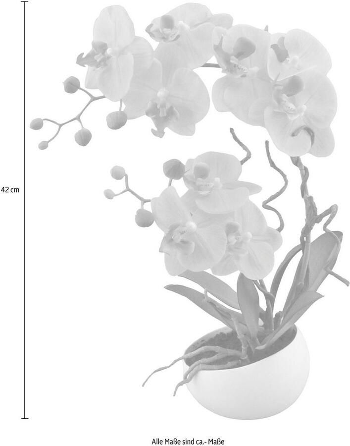 Creativ green Kunstplant Orchidee (1 stuk) - Foto 2