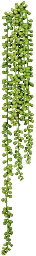 Creativ green Kunstplant Sedum-plantenhanger (2 stuks) - Foto 1