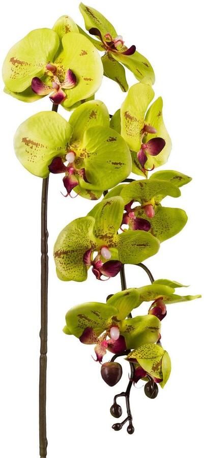 Creativ green Kunstplant set van 3 (3 stuks) - Foto 2