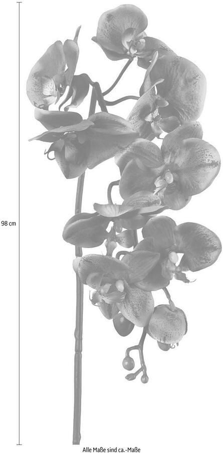 Creativ green Kunstplant set van 3 (3 stuks)