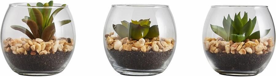 Creativ green Kunstplant Vetplanten (set 3 stuks) - Foto 6