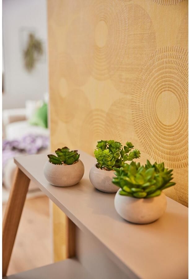 Creativ green Kunstplant Vetplanten (set 3 stuks) - Foto 8