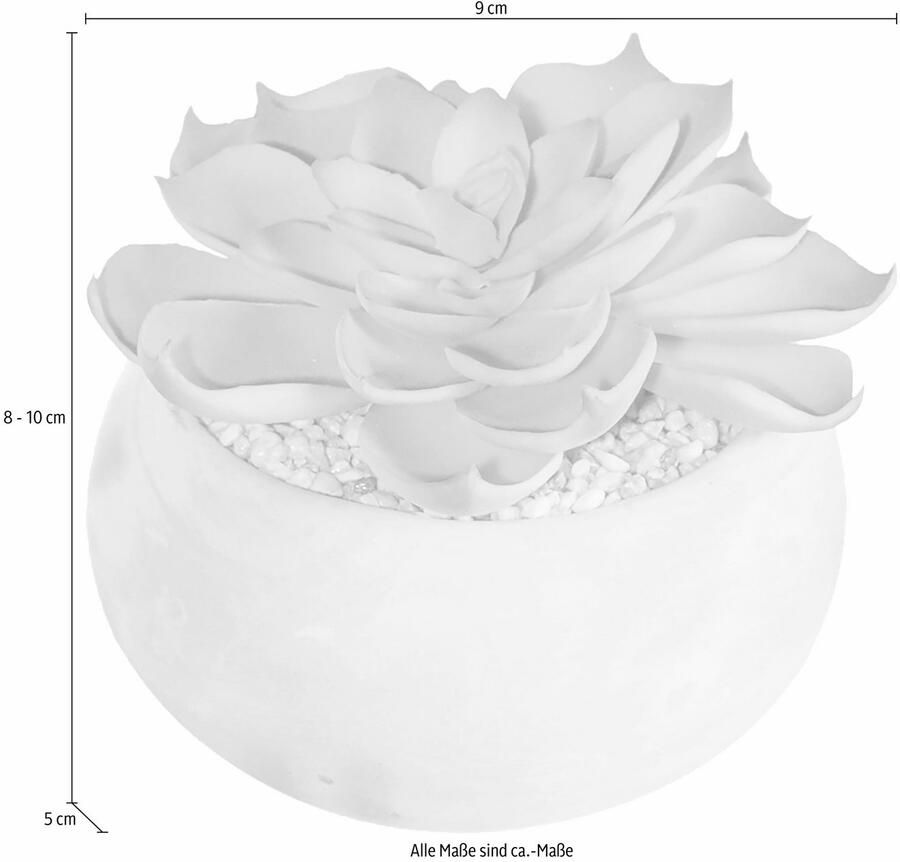 Creativ green Kunstplant Vetplanten (set 3 stuks) - Foto 2