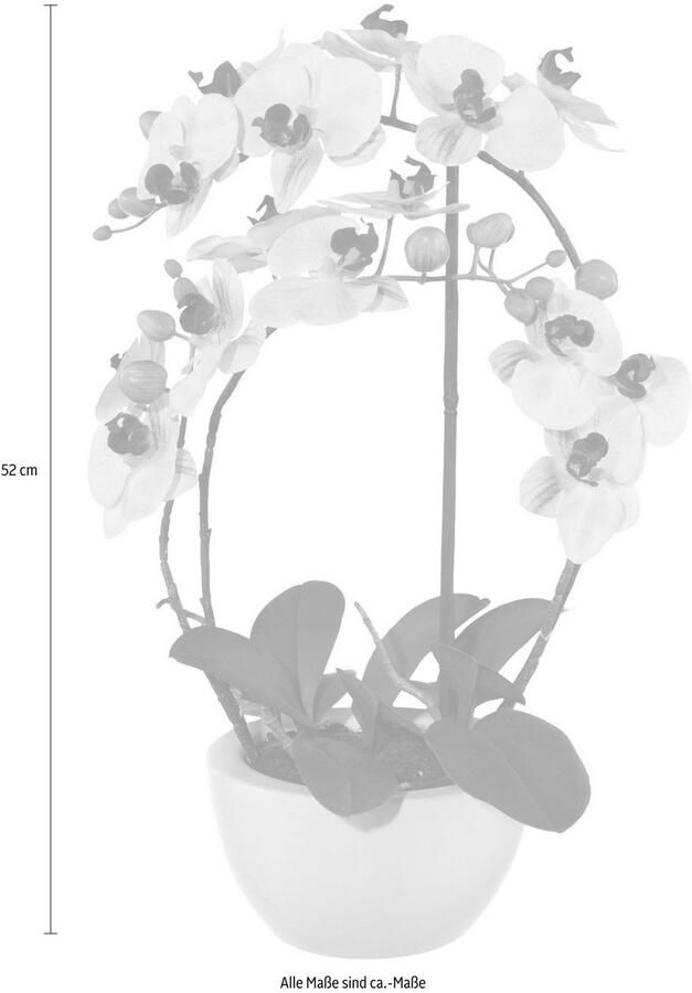 Creativ green Kunstplant Vlinderorchidee (1 stuk)