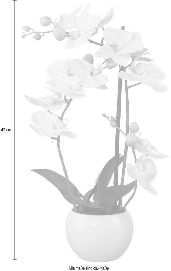 Creativ green Kunstplant Vlinderorchidee (1 stuk)