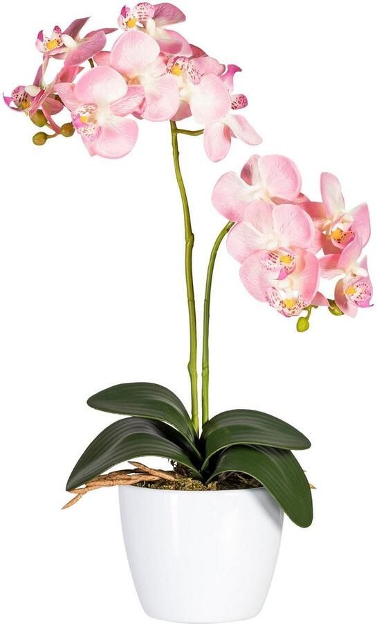 Creativ green Kunstplant Vlinderorchidee (set 2 stuks) - Foto 2