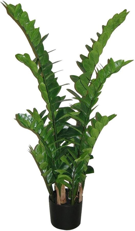 Creativ green Kunstplant Zamifolia (1 stuk) - Foto 11