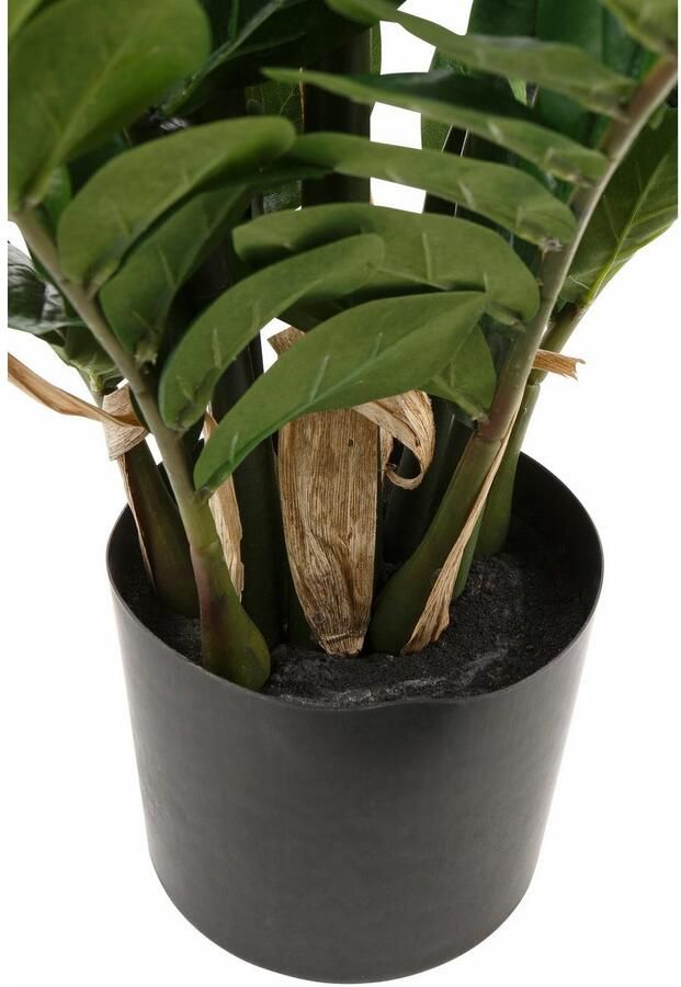 Creativ green Kunstplant Zamifolia (1 stuk) - Foto 8
