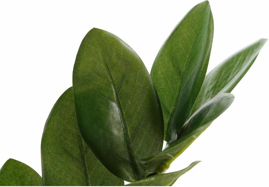 Creativ green Kunstplant Zamifolia (1 stuk) - Foto 7