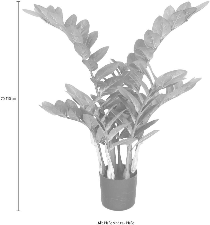 Creativ green Kunstplant Zamifolia (1 stuk) - Foto 3