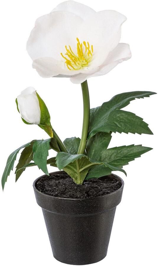 Creativ green Winterse kunstplant Kerst versiering in pot in 4-delige set (2x kleur rood en 2x kleur wit) (4 stuks) - Foto 2