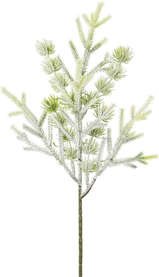 Creativ green Winterse kunstplant Kerst versiering Mini-ficht tak in bevroren look 6-delige set (6 stuks)