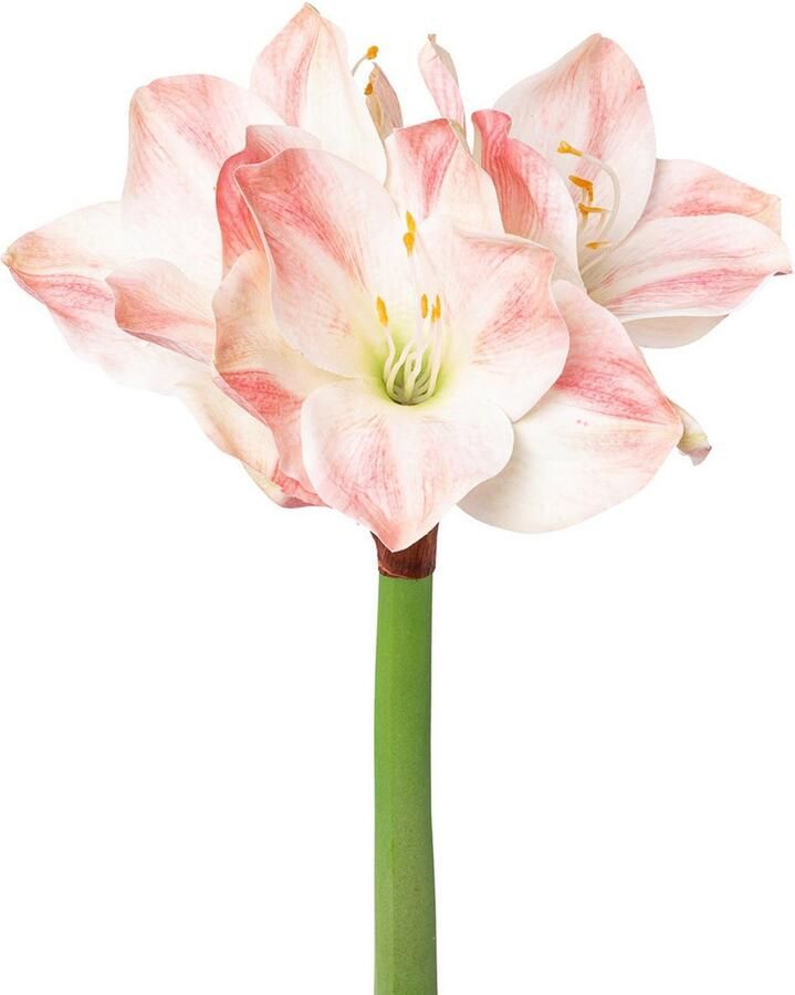 Creativ green Winterse kunstplant Kerst versiering weelderige bloemenpracht set van 3 (3 stuks)