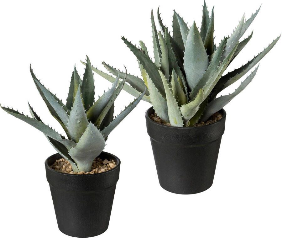 Creativ green Kunst-potplanten (2 stuks)