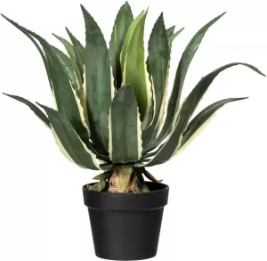 Creativ green Kunst-potplanten Agave americana variegata
