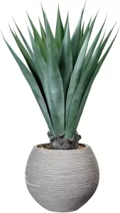 Creativ green Kunst-potplanten Agave in de cementpot