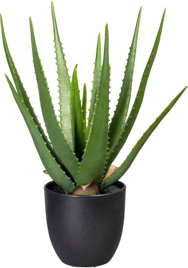 Creativ green Kunst-potplanten Aloe (1 stuk)