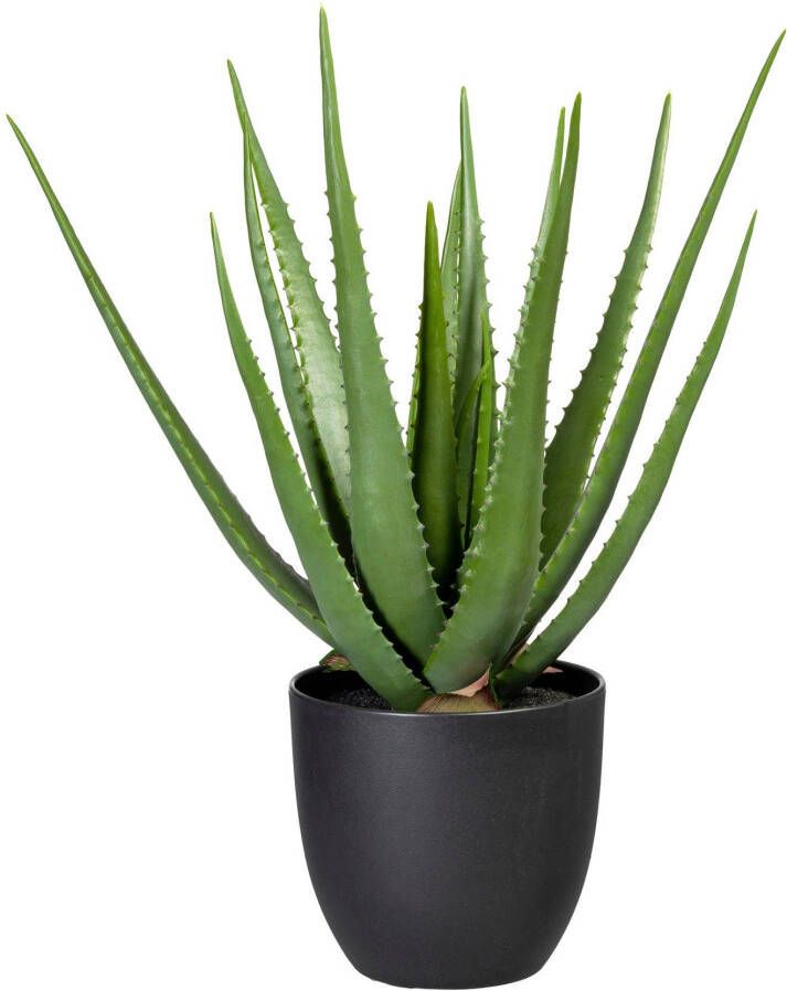 Creativ green Kunst-potplanten Aloe (1 stuk) - Foto 1