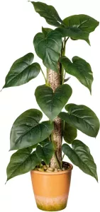 Creativ green Kunst-potplanten Bladplant Anthurium in de paperpot (1 stuk)