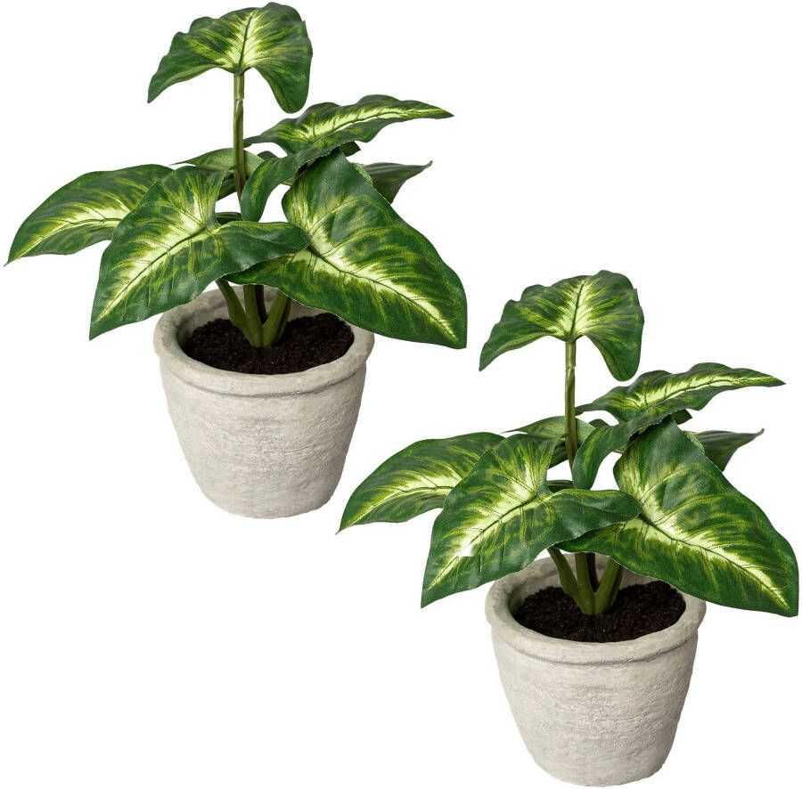 Creativ green Kunst-potplanten Bladplant Syngonium in een cementpot(2 stuks)