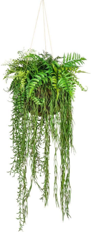 Creativ green Kunst-potplanten Decoratieve bol om op te hangen (1 stuk) - Foto 1