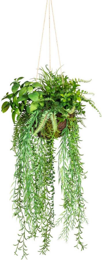 Creativ green Kunst-potplanten Decoratieve bol om op te hangen (1 stuk) - Foto 1