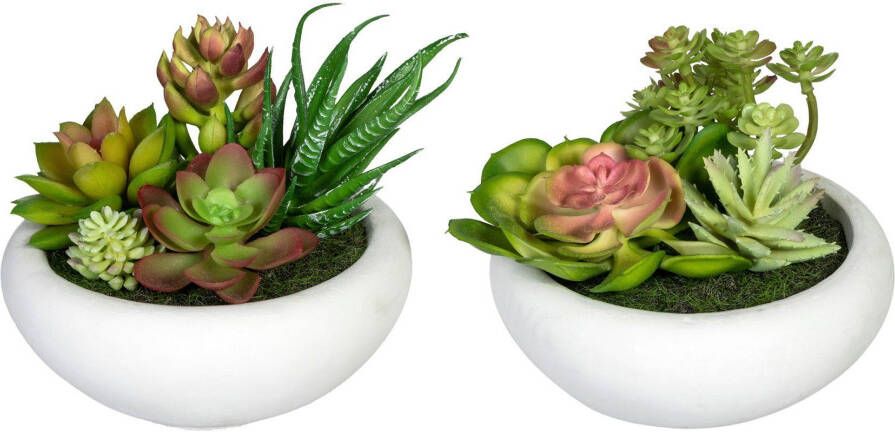 Creativ green Kunst-potplanten Vetplanten-arrangement in een cementpot(2 stuks) - Foto 3