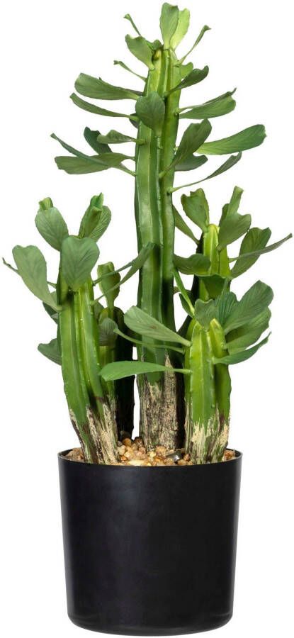 Creativ green Kunst-potplanten Vetplantje Euphorbie (1 stuk) - Foto 1