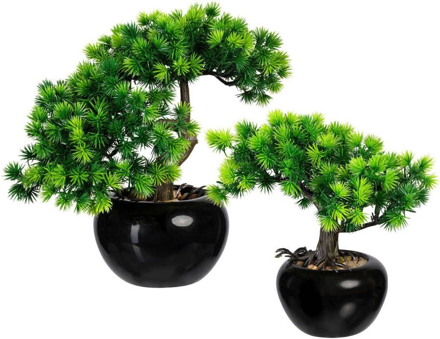 Creativ green Kunstbonsai Bonsai lariks in een keramische pot(2 stuks) - Foto 3