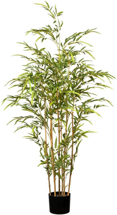 Creativ green Kunstboom Bamboe (1 stuk) - Foto 1