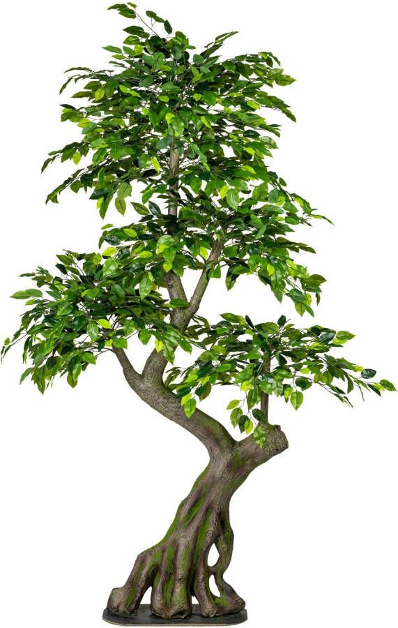 Creativ green Kunstboom Ficus Benjamini (1 stuk) - Foto 3