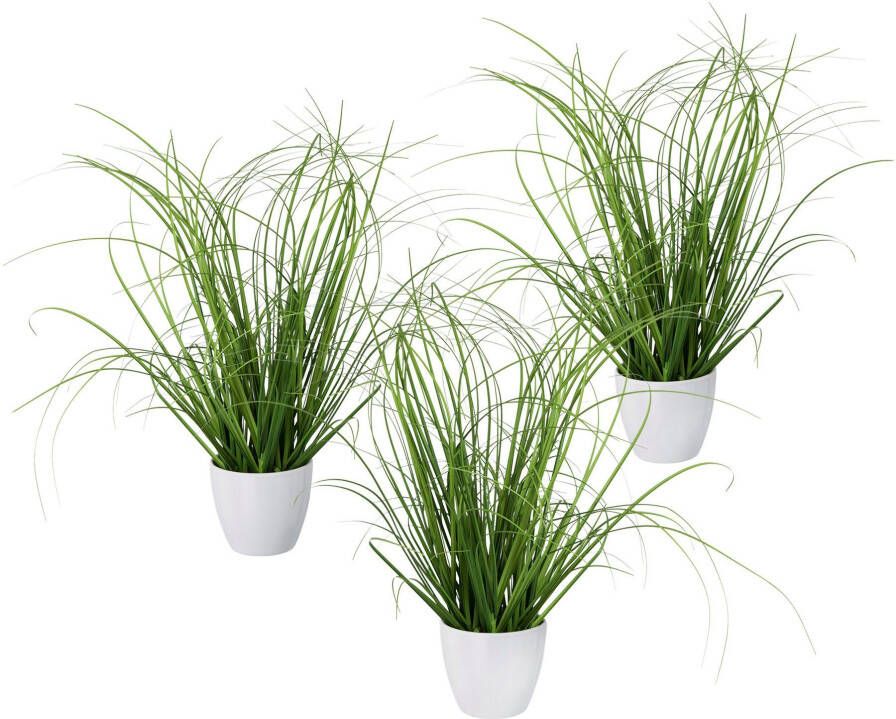 Creativ green Kunstgras Grasmix set van 3 in een decoratieve plastic pot (3 stuks) - Foto 2