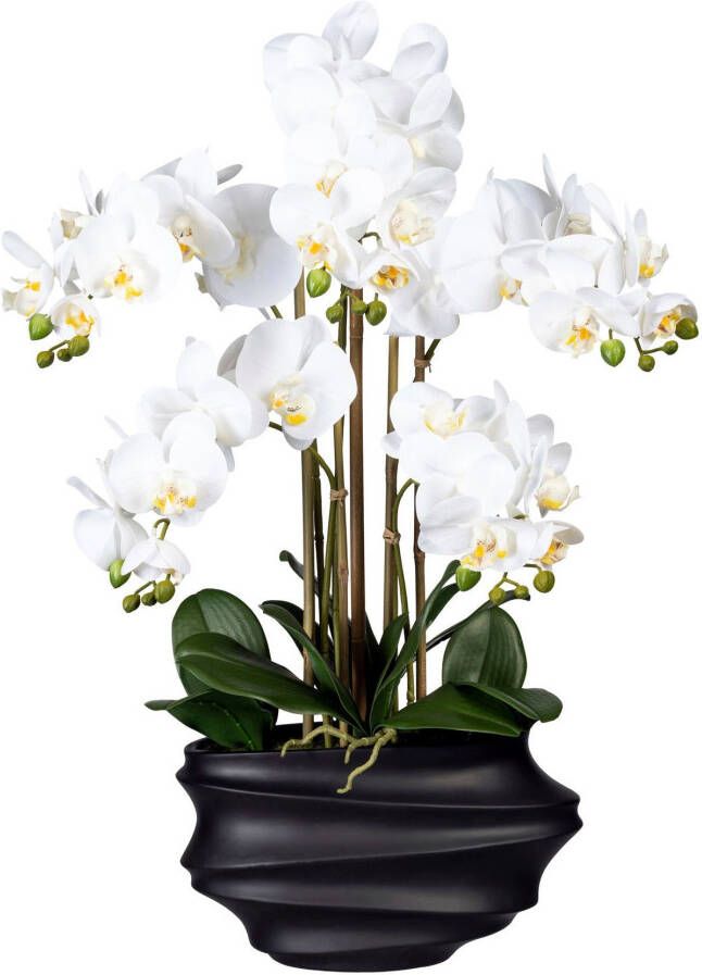 Creativ green Kunstorchidee Vlinderorchidee in design plastic vaas (1 stuk) - Foto 1