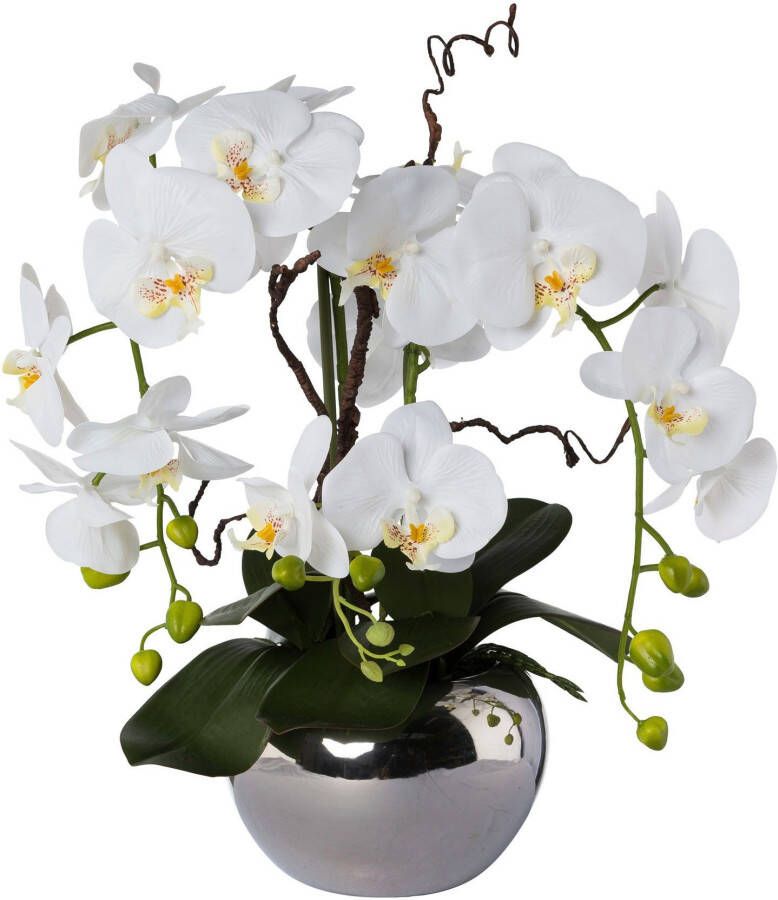 Creativ green Kunstorchidee Vlinderorchidee in een keramische pot (1 stuk) - Foto 1