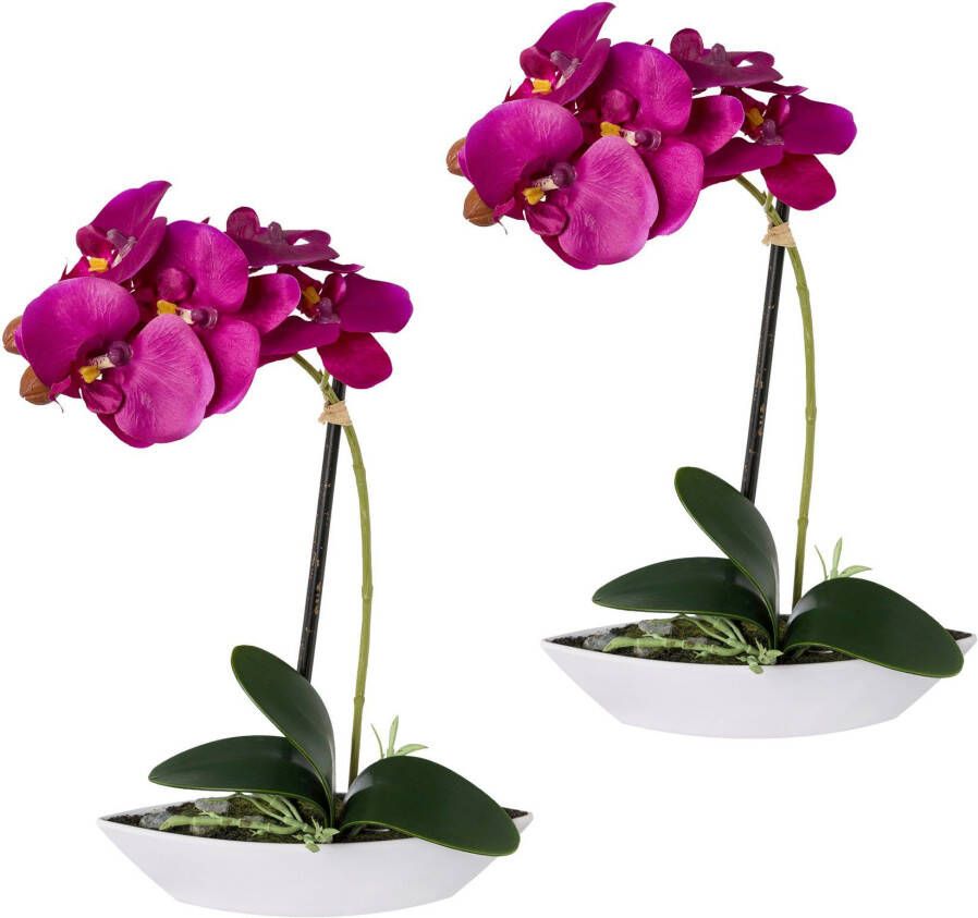Creativ green Kunstorchidee Vlinderorchidee set van 2 in een plastic bakje (2 stuks) - Foto 2