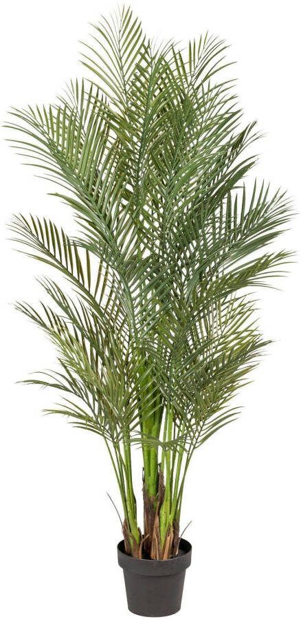 Creativ green Kunstpalm Arecapalm (1 stuk) - Foto 5