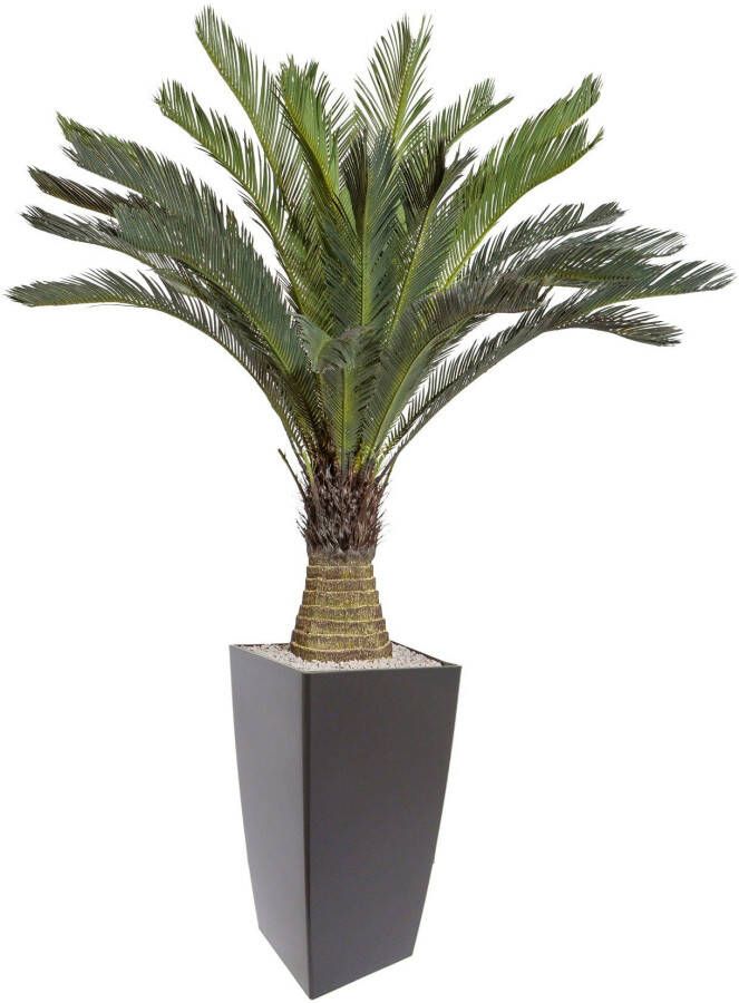 Creativ green Kunstpalm Cycaspalm in een plastic pot (1 stuk)