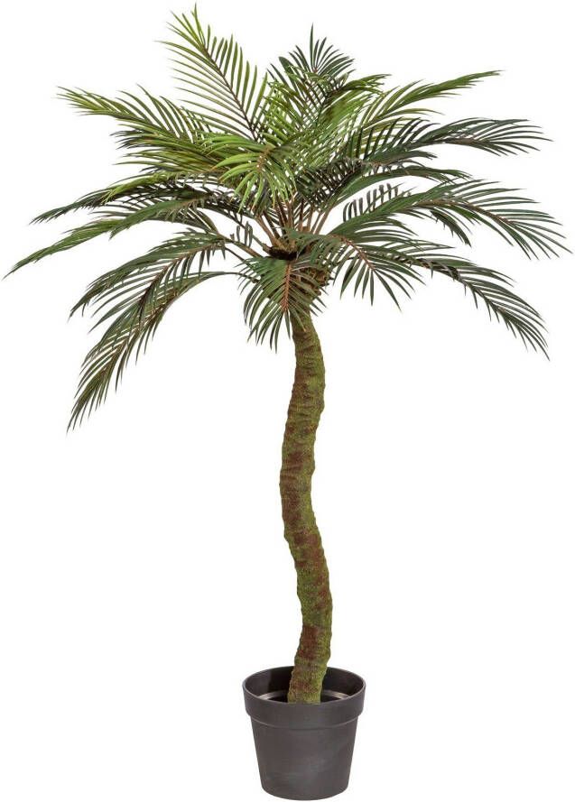 Creativ green Kunstpalm Sagopalm in een plastic pot (1 stuk)