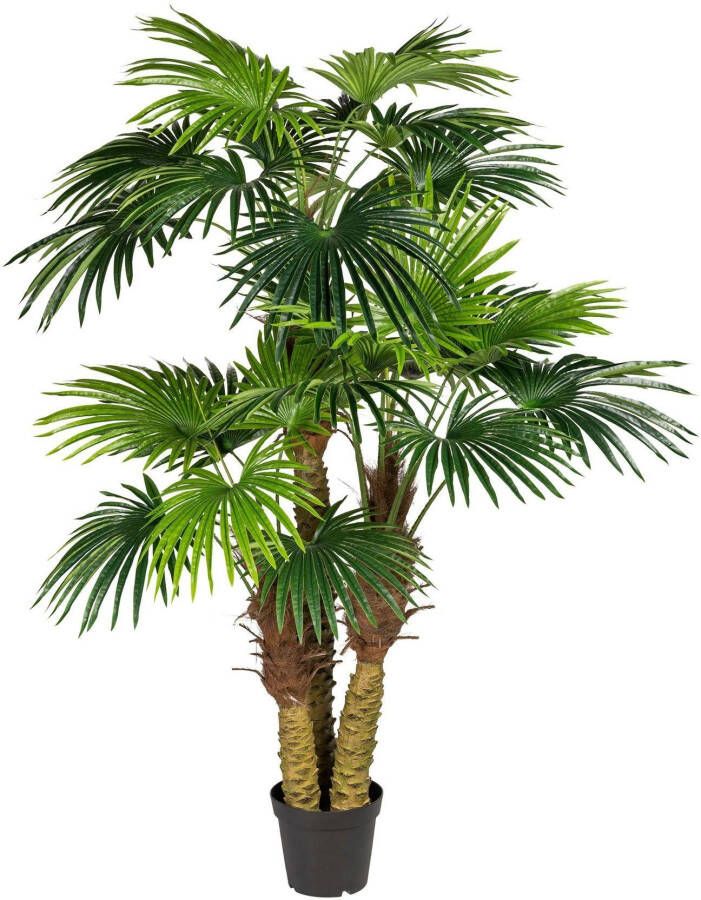 Creativ green Kunstpalm Waaierpalm (1 stuk) - Foto 2