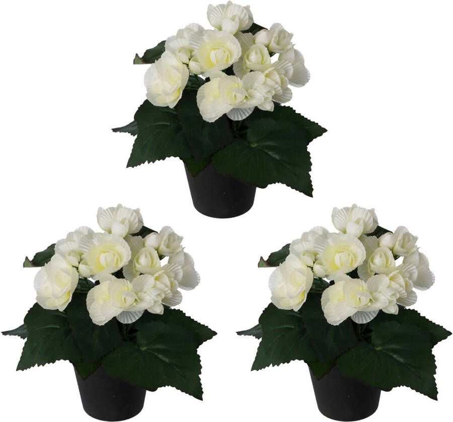 Creativ green Kunstplant Begonia set van 3 (3 stuks) - Foto 1