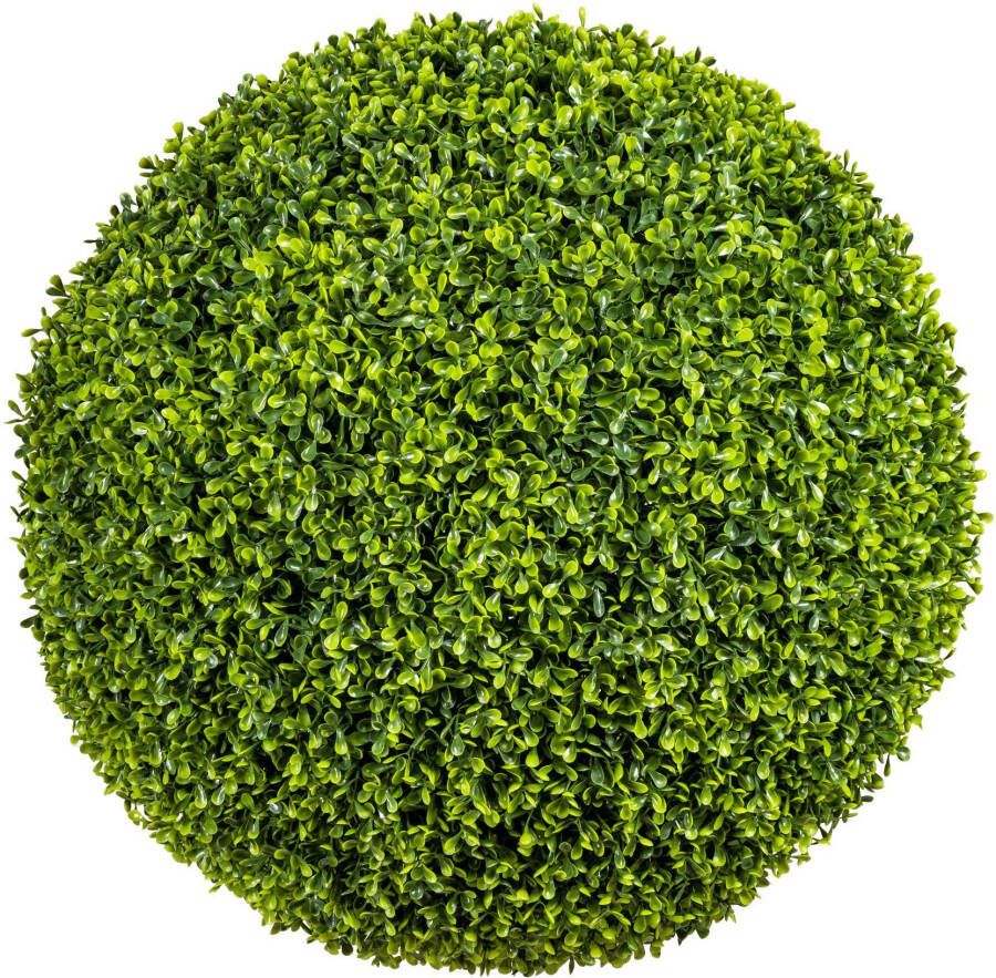 Creativ green Kunstplant Buxusbol (1 stuk) - Foto 1