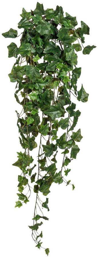 Creativ green Kunstplant Engelse klimophanger (1 stuk) - Foto 1