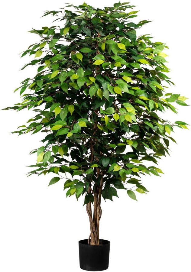 Creativ green Kunstplant Ficus Benjamini (1 stuk) - Foto 4