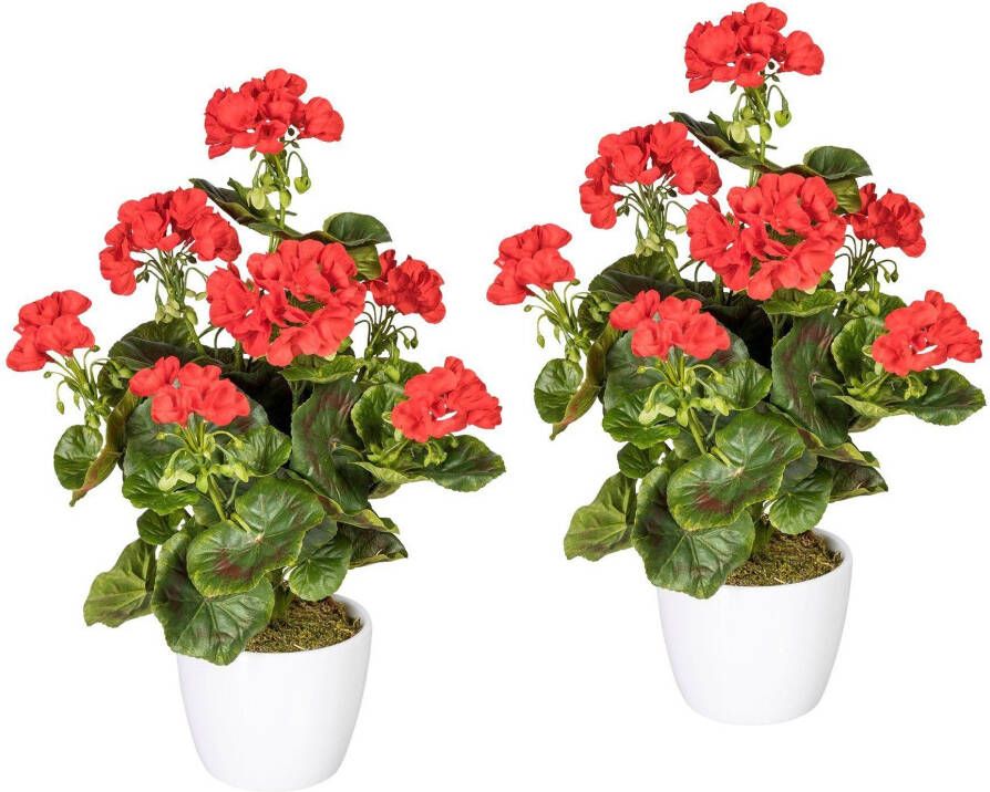 Creativ green Kunstplant Geranium rood in een keramische pot (set 2 stuks) - Foto 1